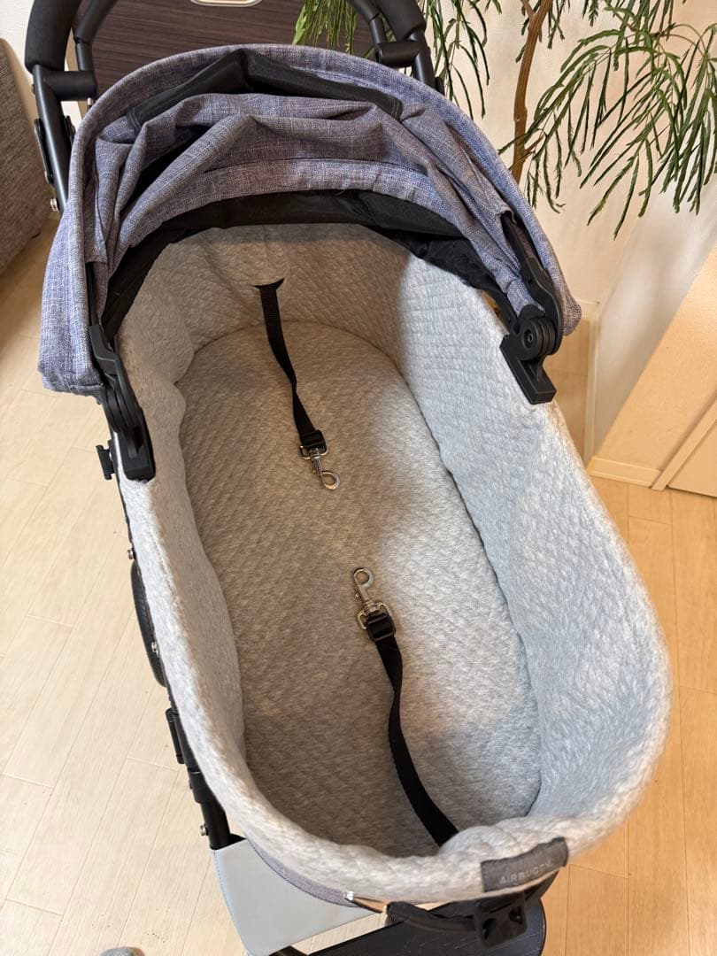 ◆LittleNeonBag◆  AIRBUGGY dome3 ラージ