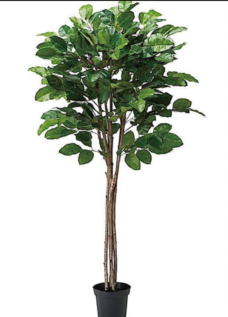 光触媒　人工観葉植物　ウォールグリーン　フェイクグリーン　ジャイアントツリー