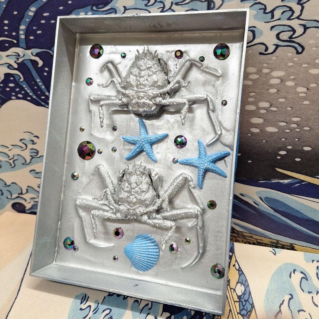 平家怨霊人面蟹稀少レア平家蟹鬼面蟹ペア二点凹凸リアル立体標本飾り置物コレクション