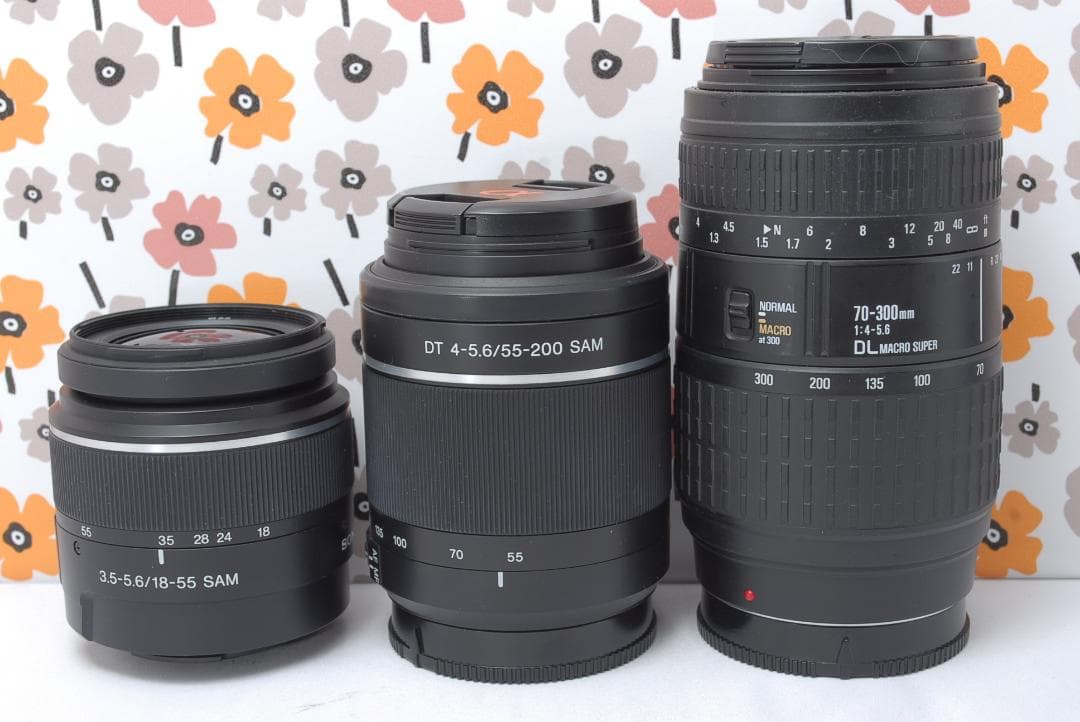 ❤即購入1000円OFF❤SONY α65❤超望遠トリプルレンズ❤超高画質❤