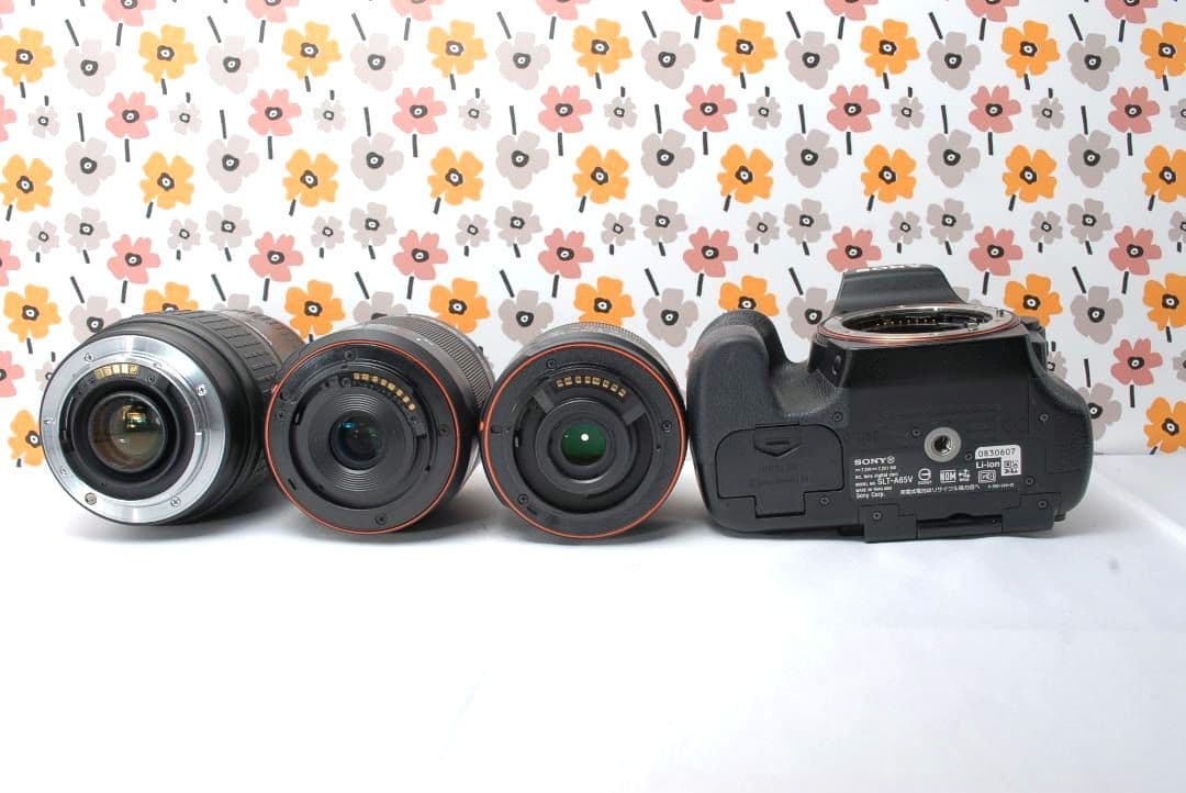 ❤即購入1000円OFF❤SONY α65❤超望遠トリプルレンズ❤超高画質❤