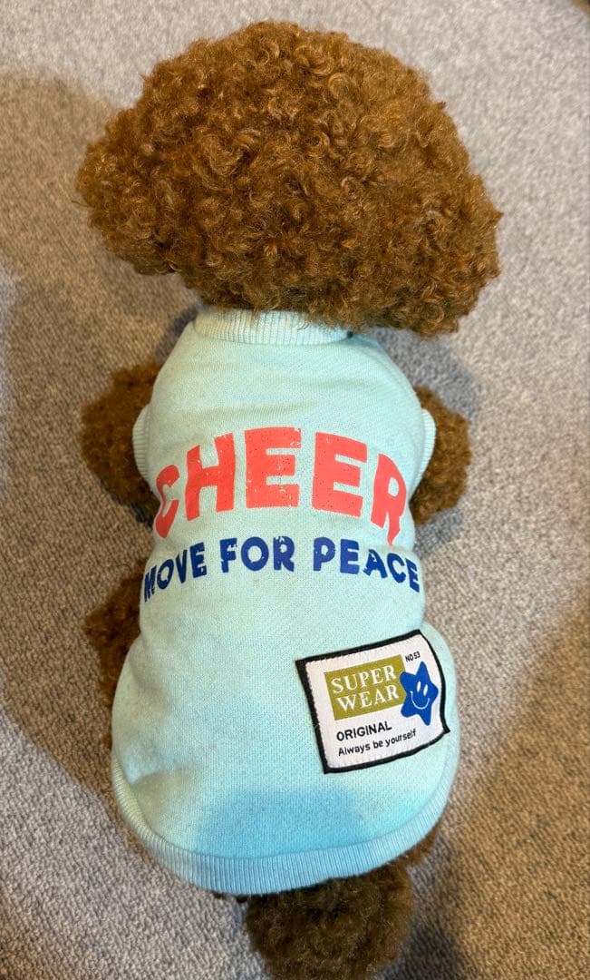 ★ハンドメイド★ もふもふ トイプードル ぬいぐるみ レッド 大サイズ