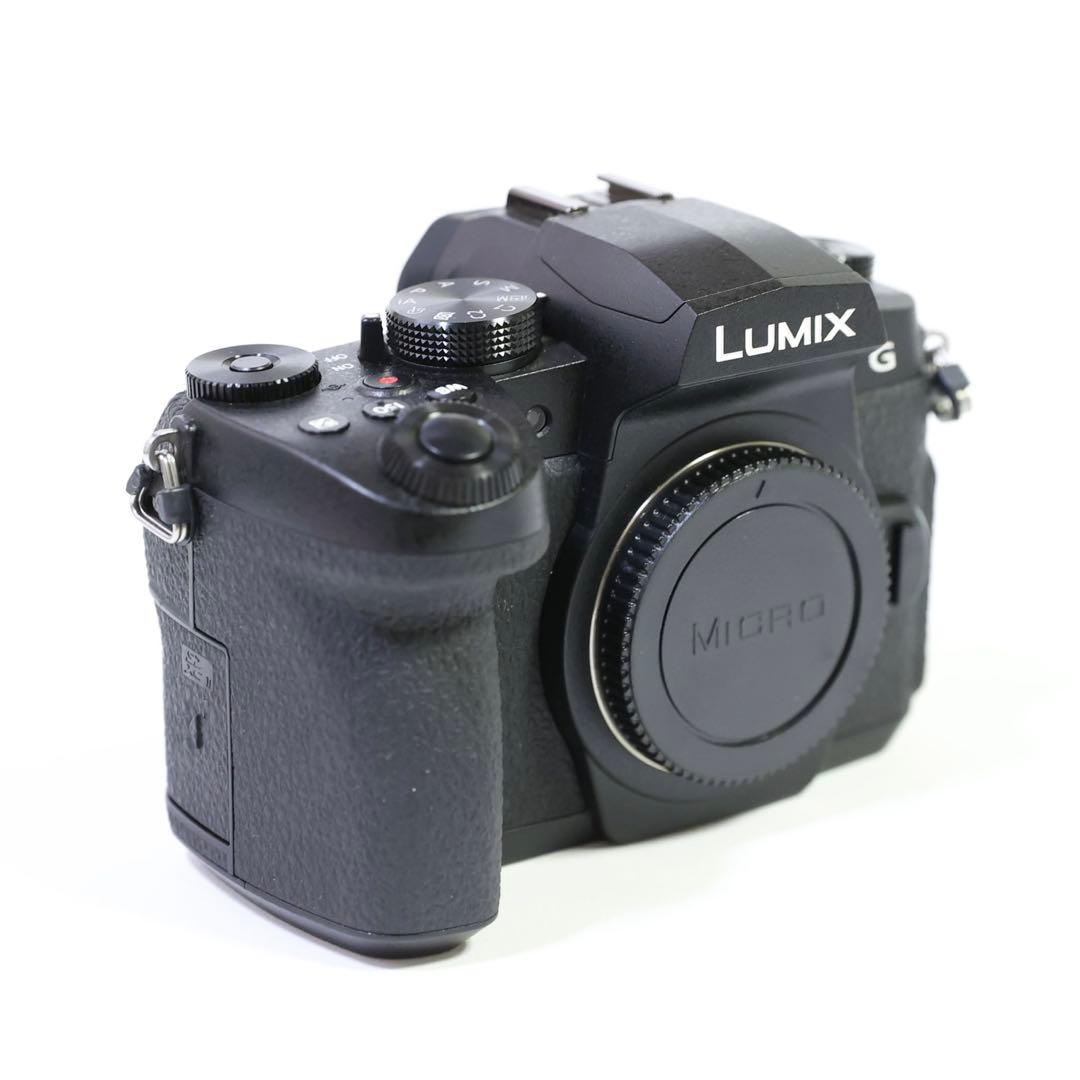 ★シャッター3000回　Panasonic LUMIX G99 少し訳あり