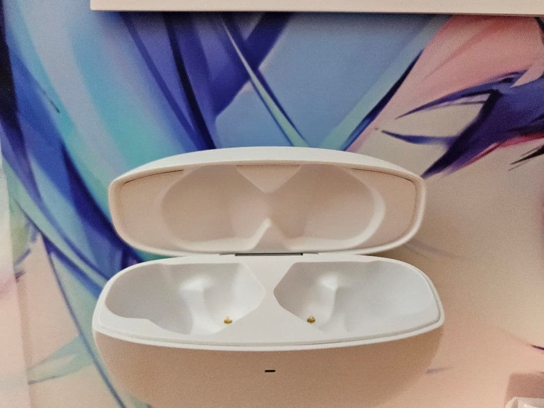 【開封品】final ZE3000 for ASMR