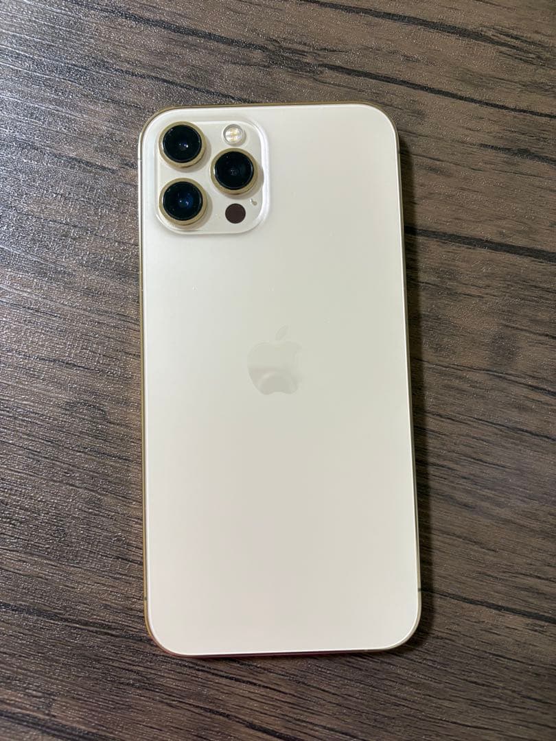 【志】 iPhone12 ProMax 256GB