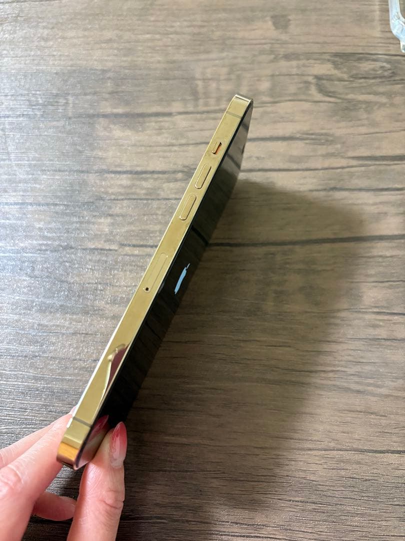 【志】 iPhone12 ProMax 256GB