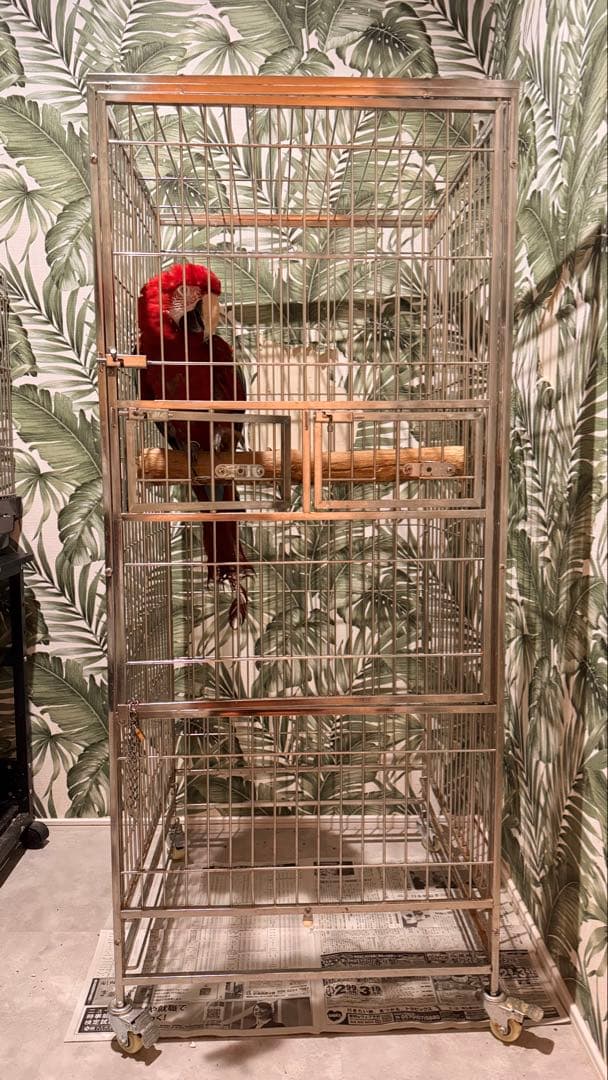 こんぱまるオリジナル オリジナルステンレスケージ超特大 Y217