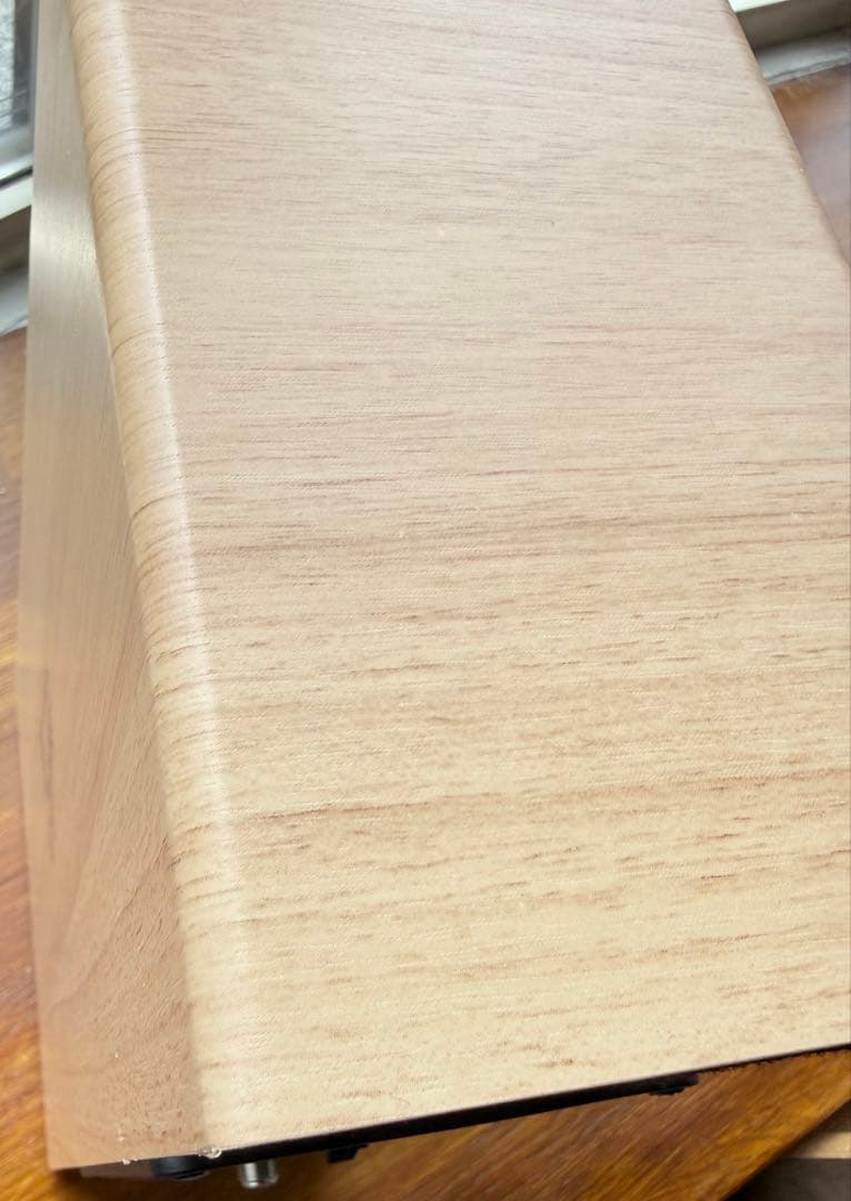 Victor EX-DM10 ウッドコーン WOOD CONE