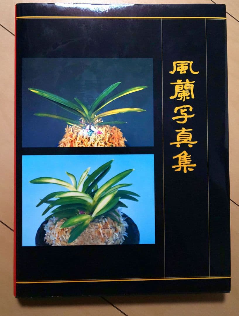 【書籍】フウラン、風蘭、富貴蘭 図鑑など6冊（伝統園芸、オモト好きの方）
