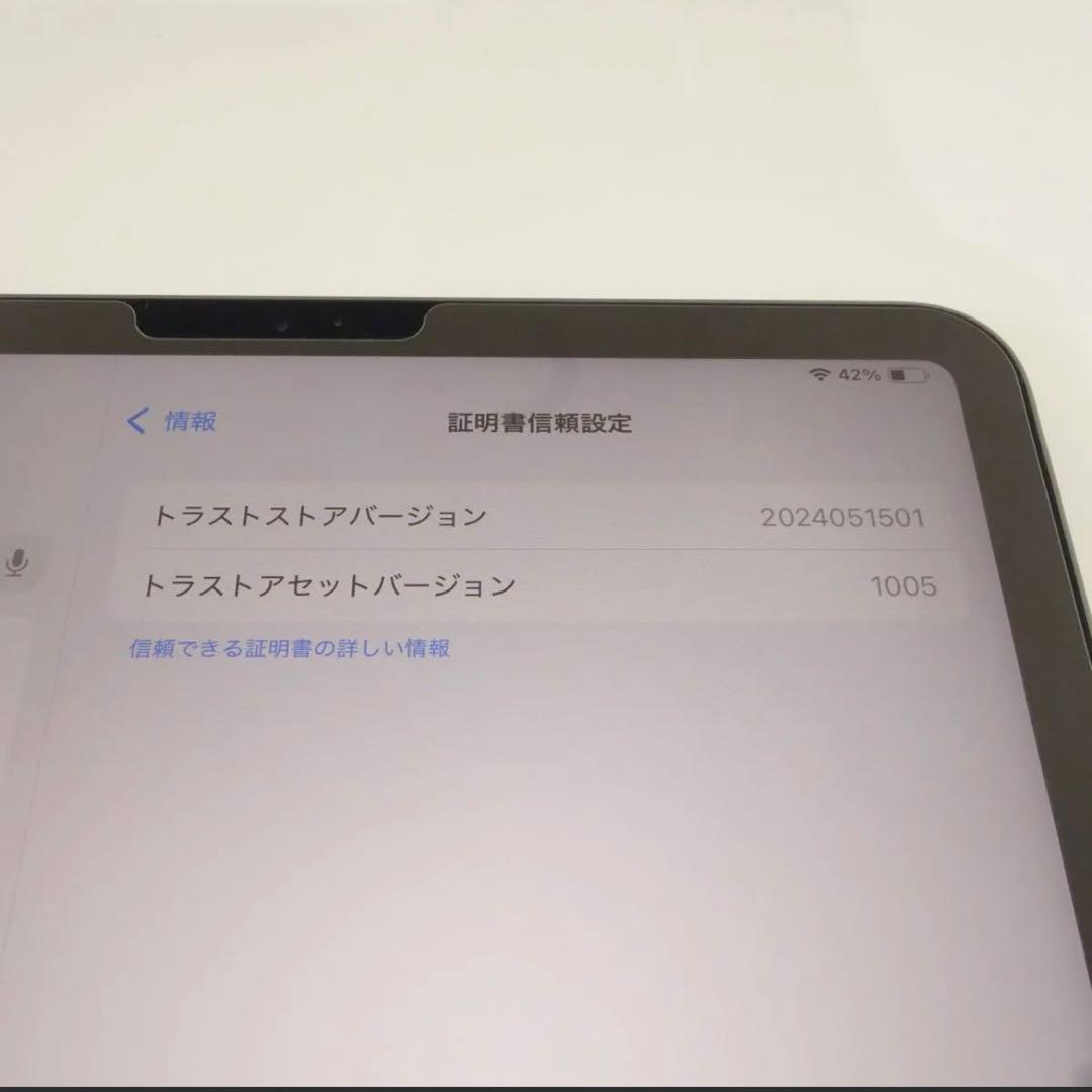 iPad Pro 11 第2世代 (バッテリー劣化無し) 128GB