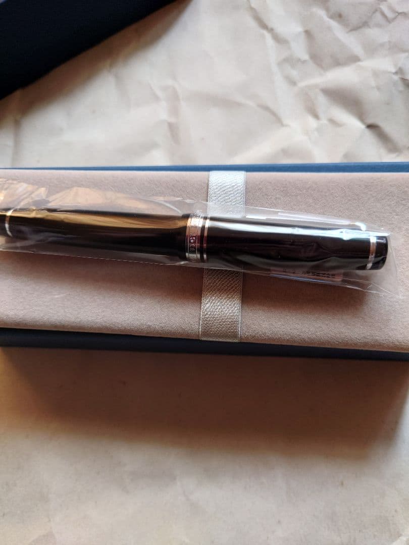 【未開封品】セーラー万年筆 プロフェッショナルギア 21k 極細字 黒 銀