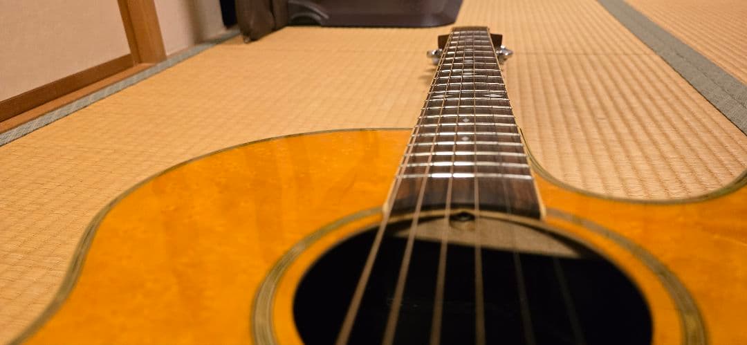 Schecterダイヤモンドシリーズ エレアコ セミハードケース付き