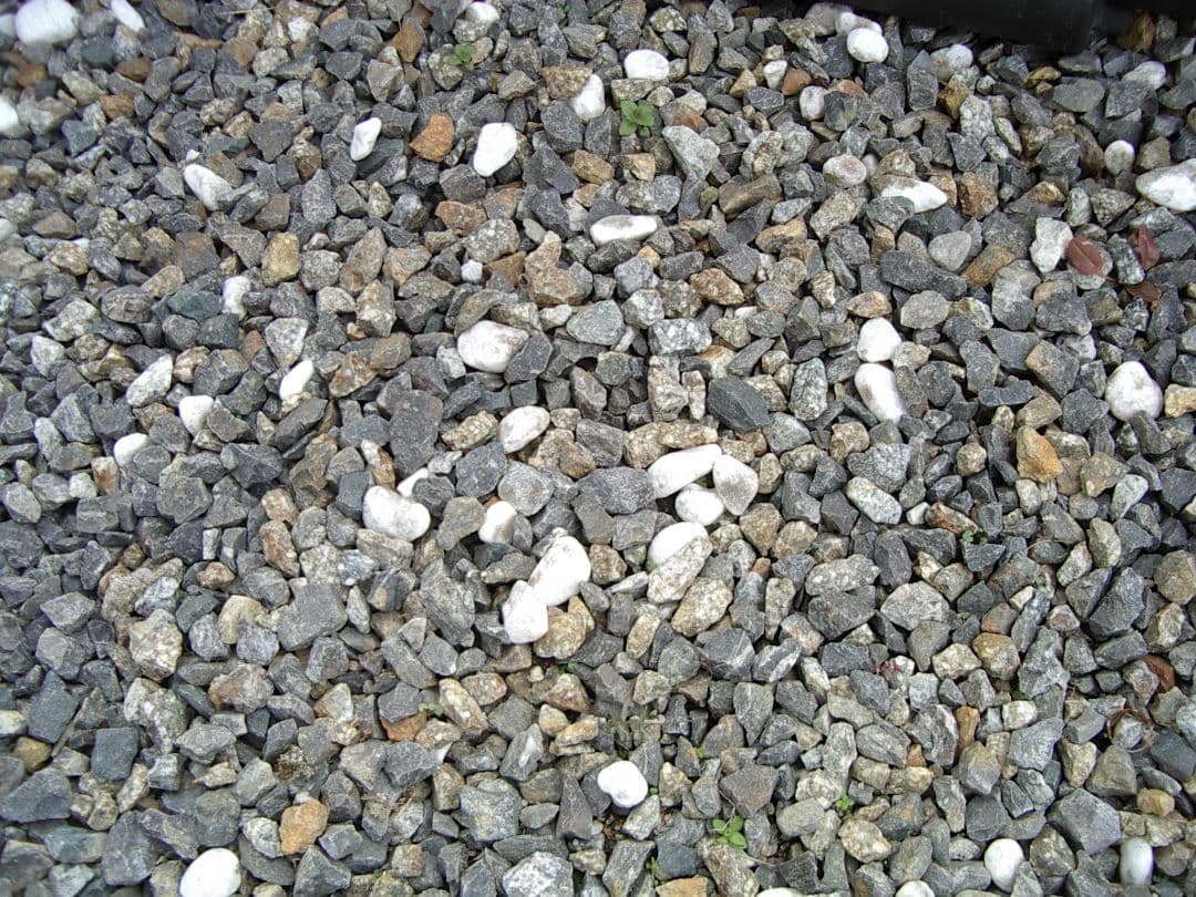 PENTAX Optio 330GS デジカメ スマホ転送OK 自撮り