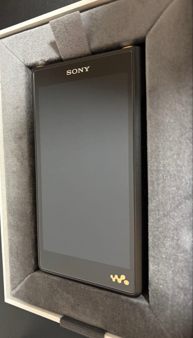 SONY NW-WM1AM2 デジタルオーディオプレーヤーとケース