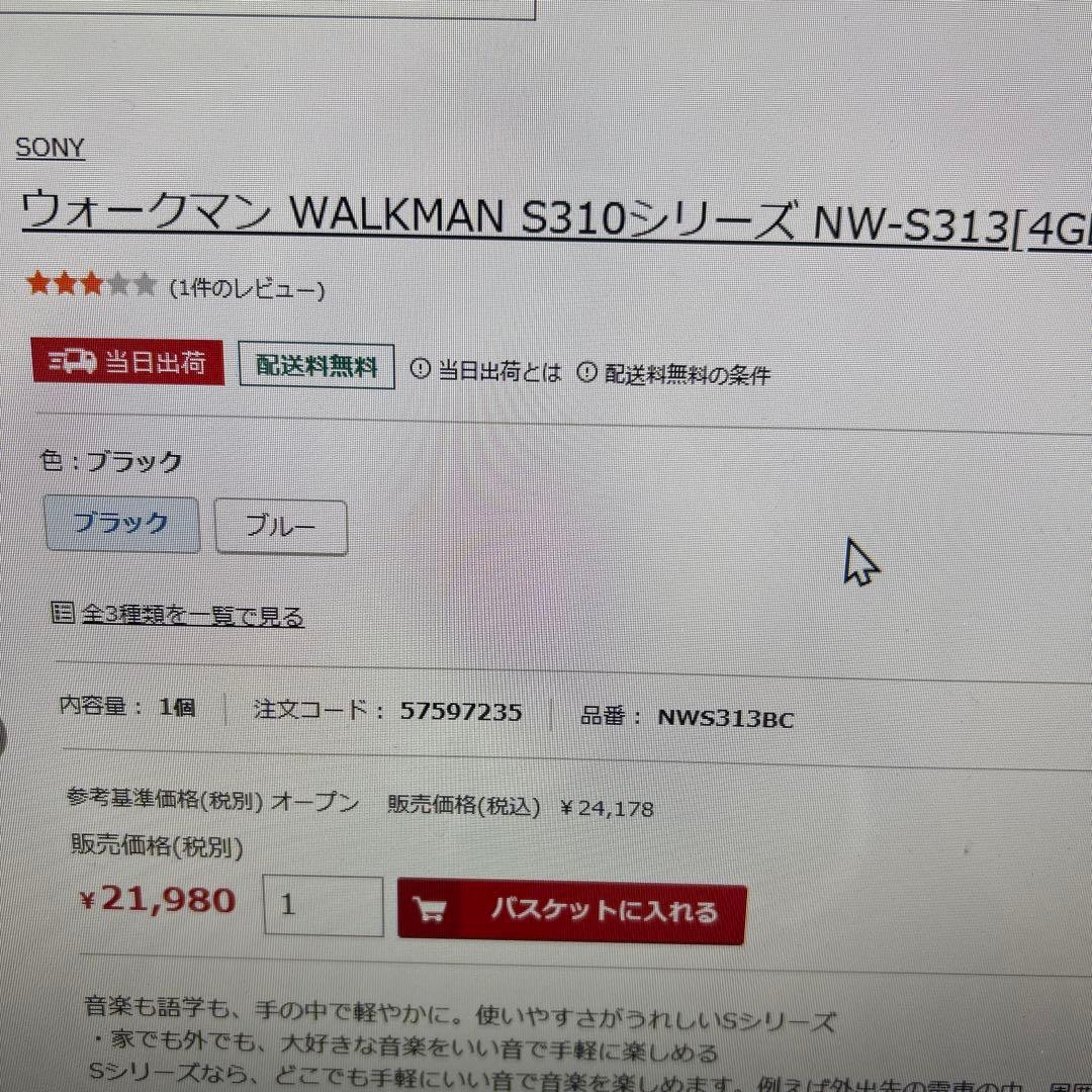 SONY ウォークマン　NW-S313 4GB