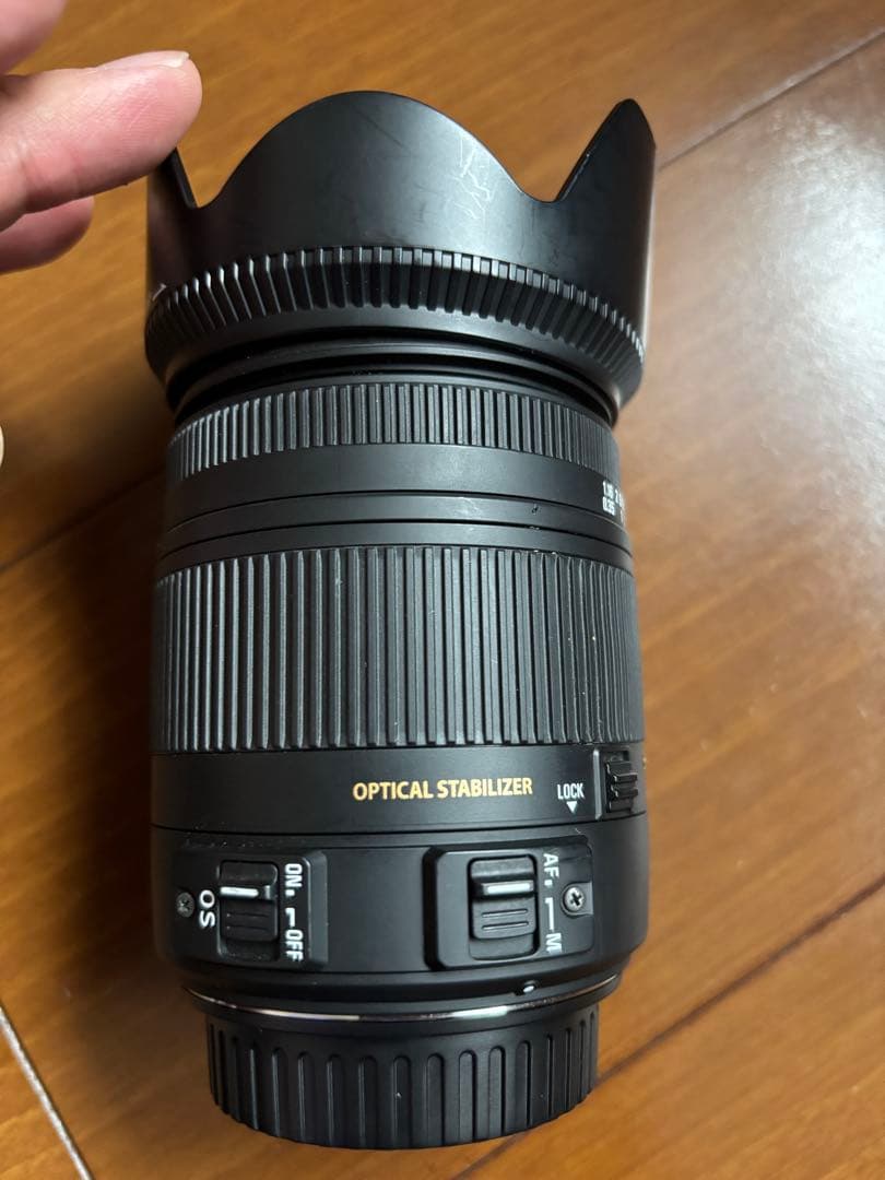 最後SIGMA DC 18-250 mm 1:3.5-6.3 MACRO HSM