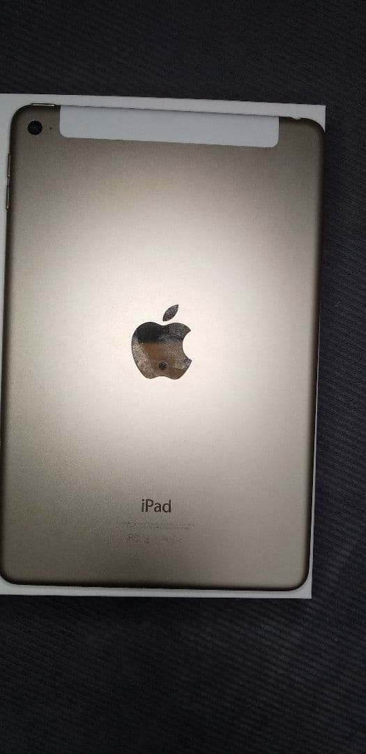 iPad本体 iPad mini 4 64GB Wi-Fi+Cellular