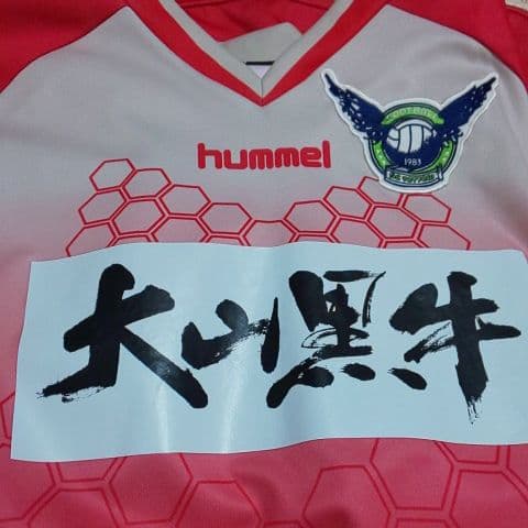 ガイナーレ鳥取 オーセンティックユニフォーム サイズL