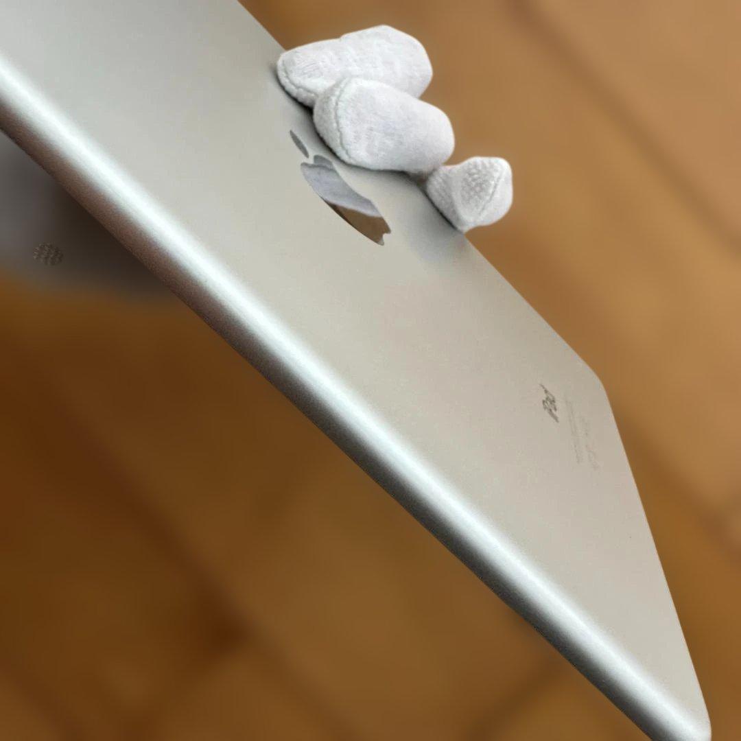 iPad mini 4 Wi-Fi シルバー 64GB 動作良好 おまけケース付