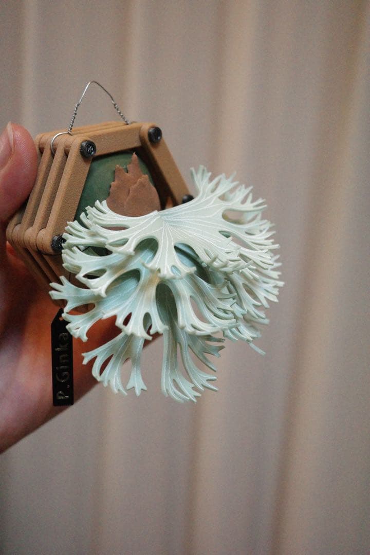 【ビカクシダ マグネット】Ginka