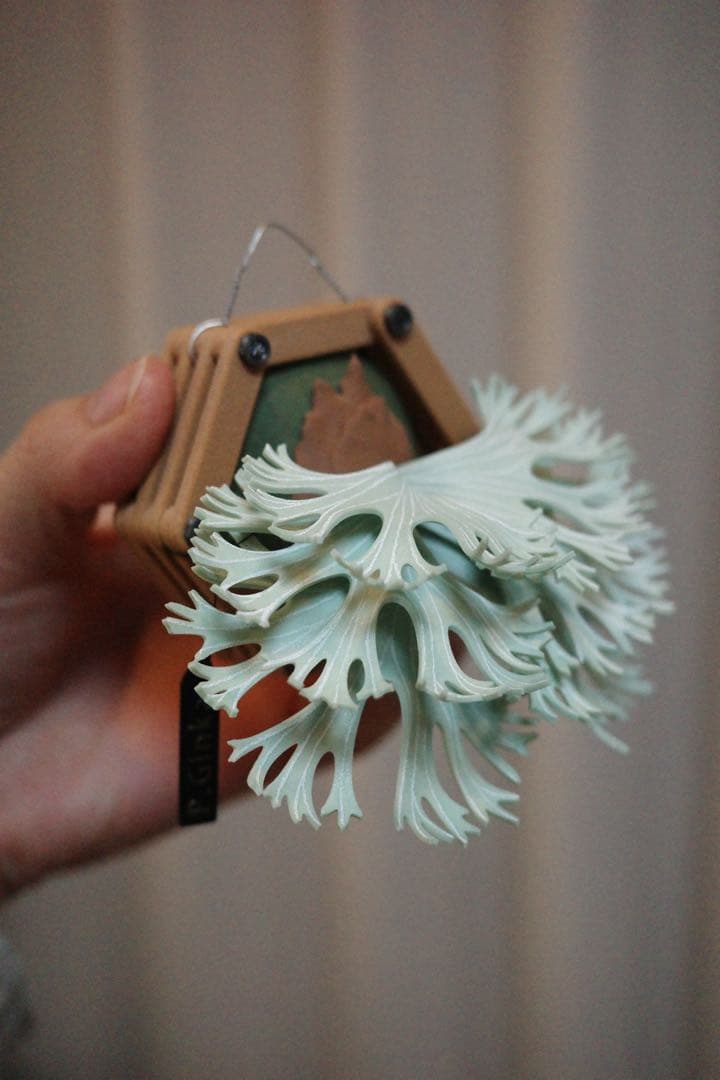 【ビカクシダ マグネット】Ginka