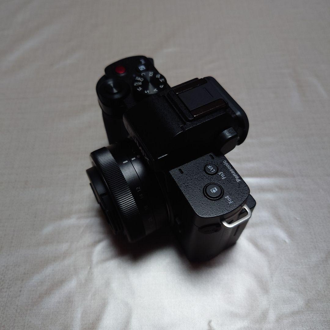 Panasonic LUMIX G100DK 標準ズームレンズキット