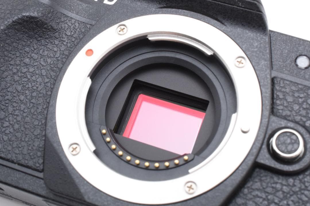 ショット数少 OLYMPUS OM-D E-M10 Mark III ブラック