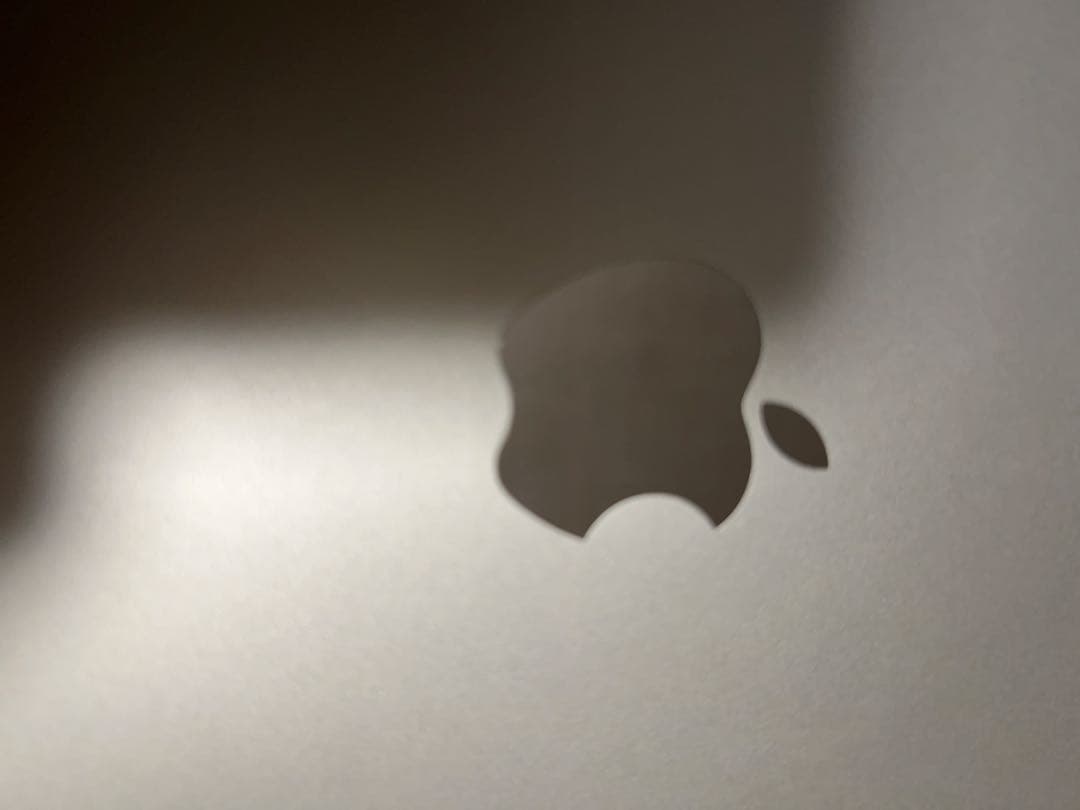 iPad Pro 11インチ 第2世代256GB Cellularモデル