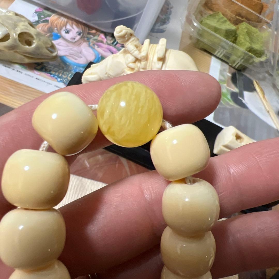 天然素材 極上 鯨の歯、抹香鯨 歯類、マッコウ鯨 牙 重さ80g