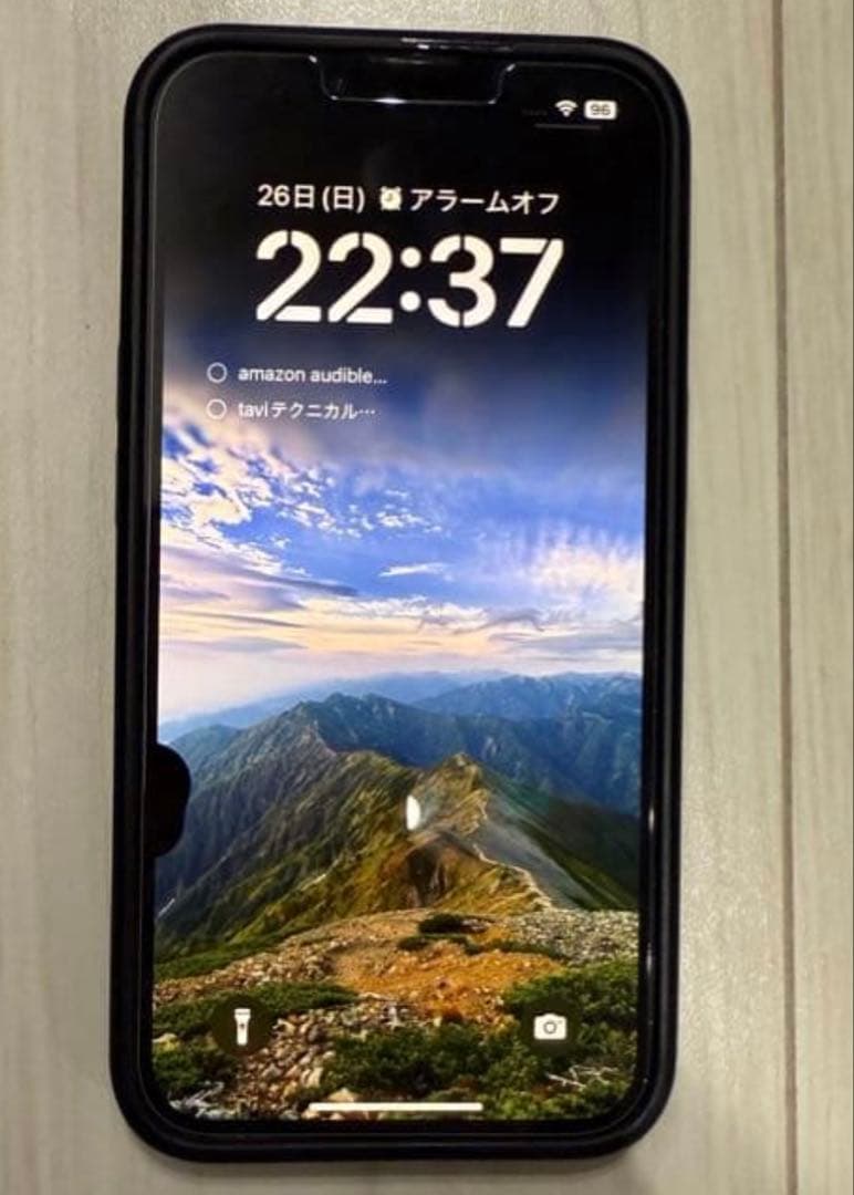 【動作確認済・一部傷有】iphone 13 pro　256GB