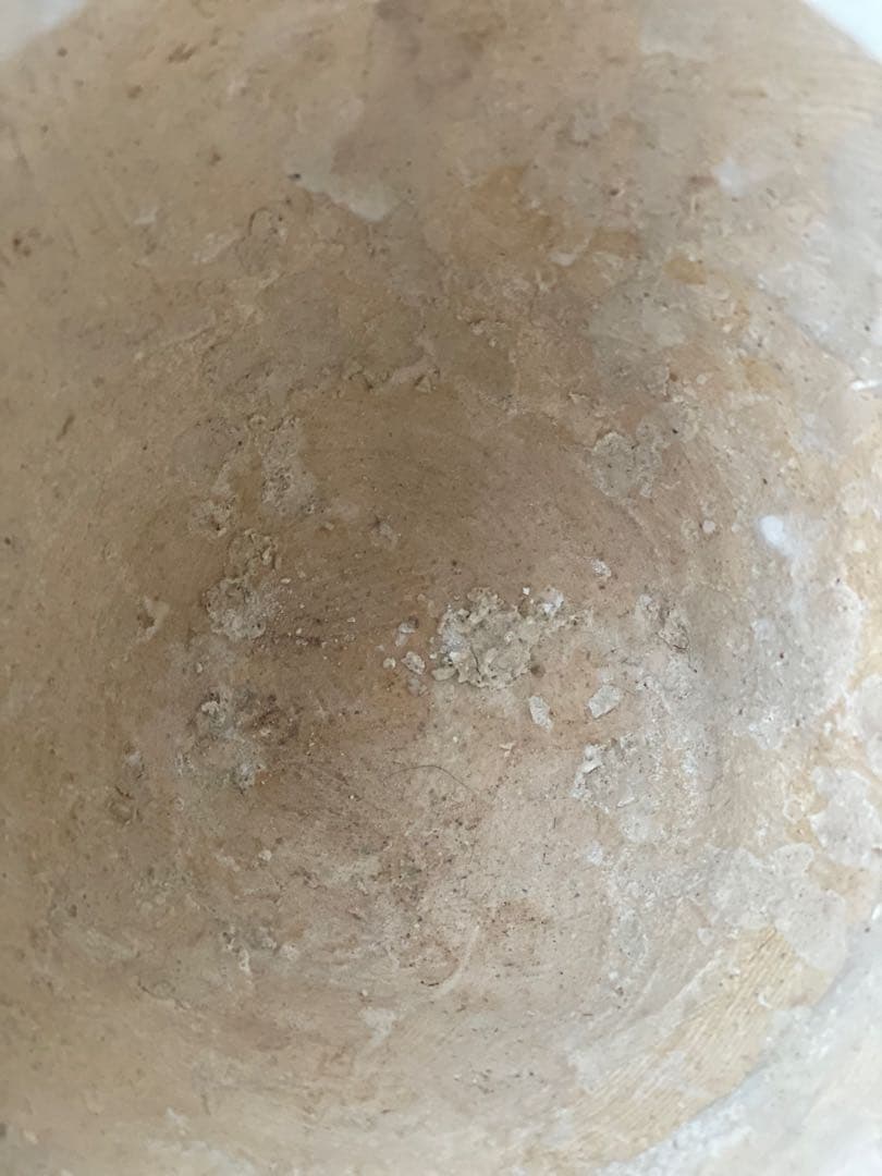 フラワーベース　DOMANI ホワイト