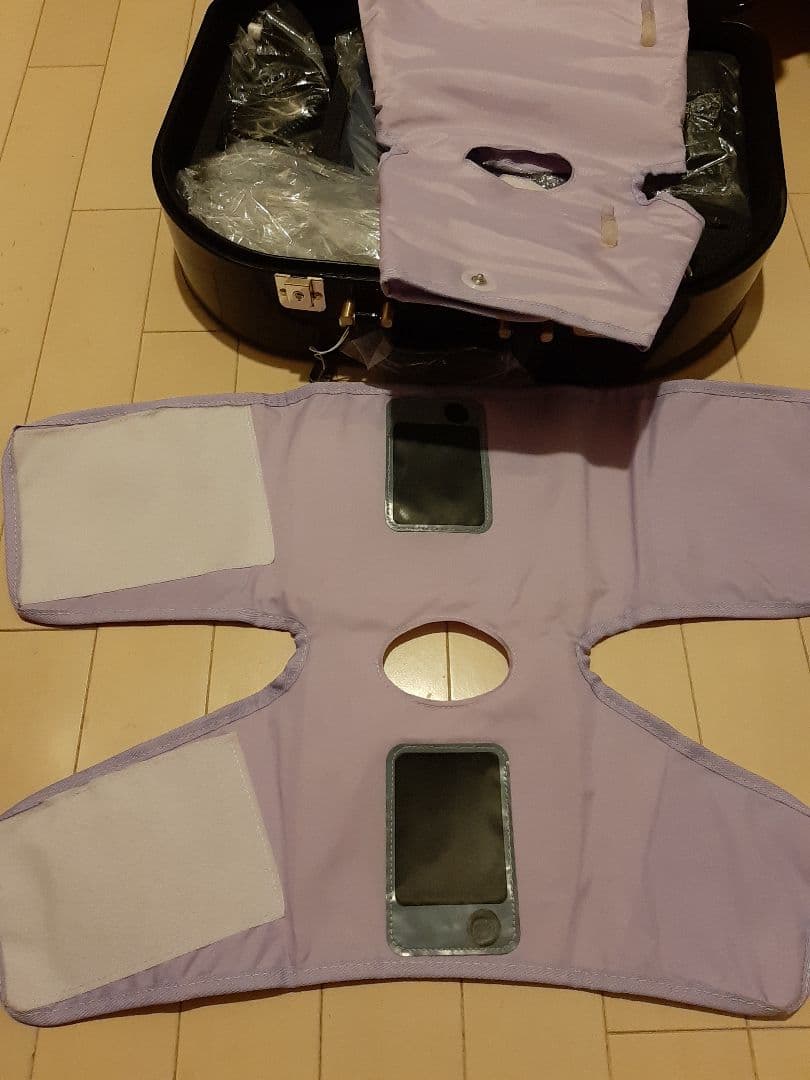 LAFIS ボディメンテナンス