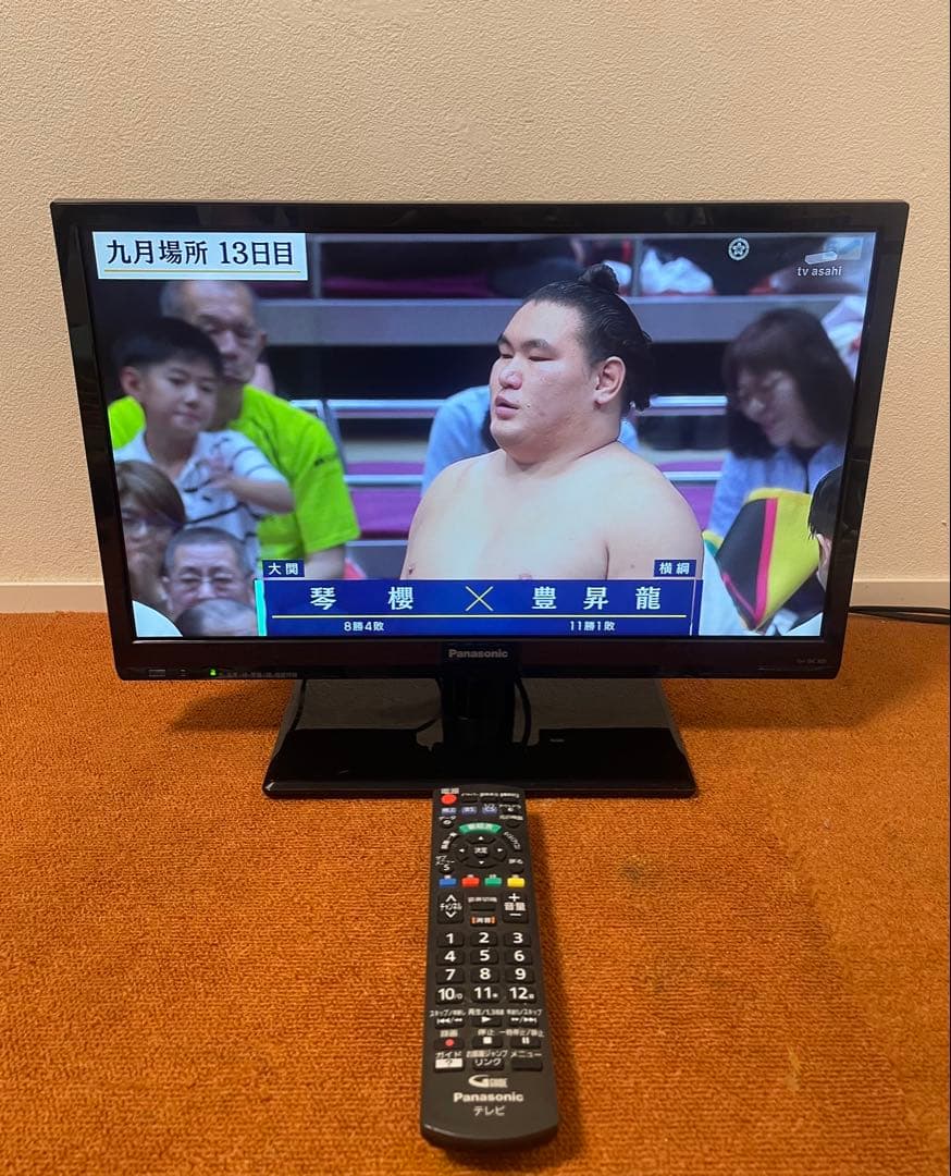 Panasonic液晶テレビ 19V型HDMI×2省エネUSB 外付けHDD録画