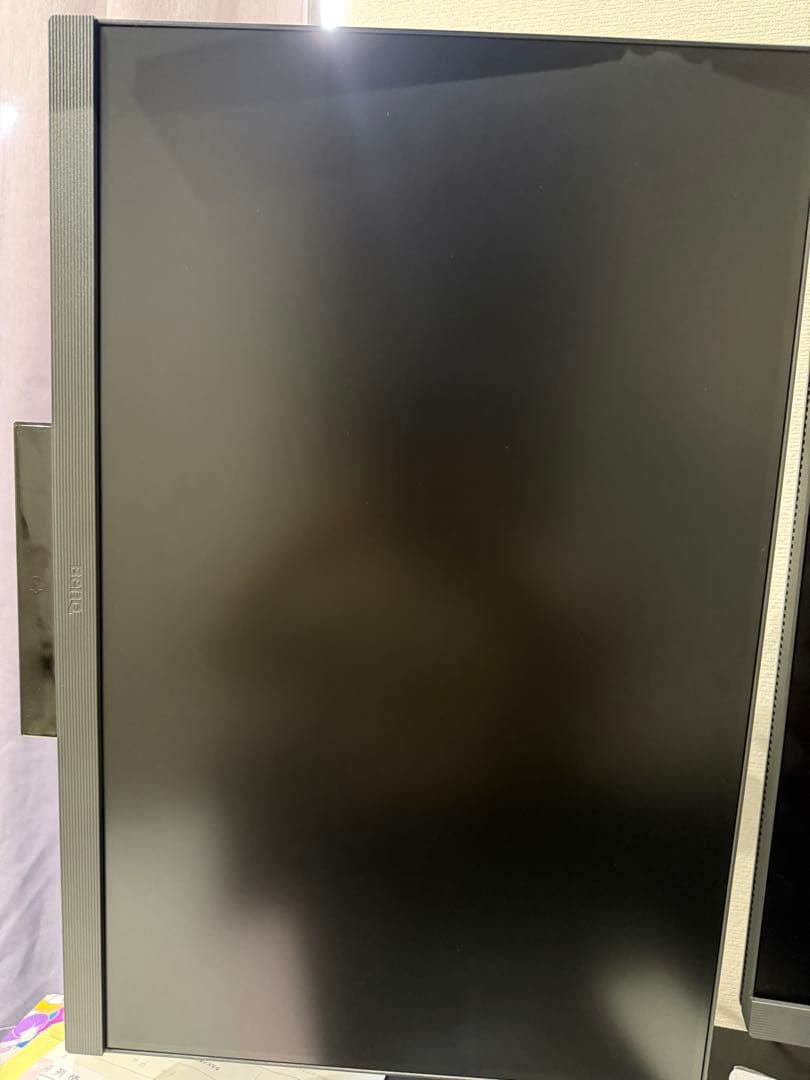 BenQ RD240Q モニター