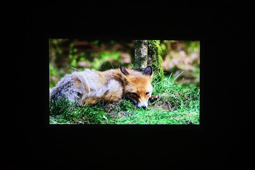 XGIMI MoGo Pro＋ モバイルプロジェクター 定価80,080円