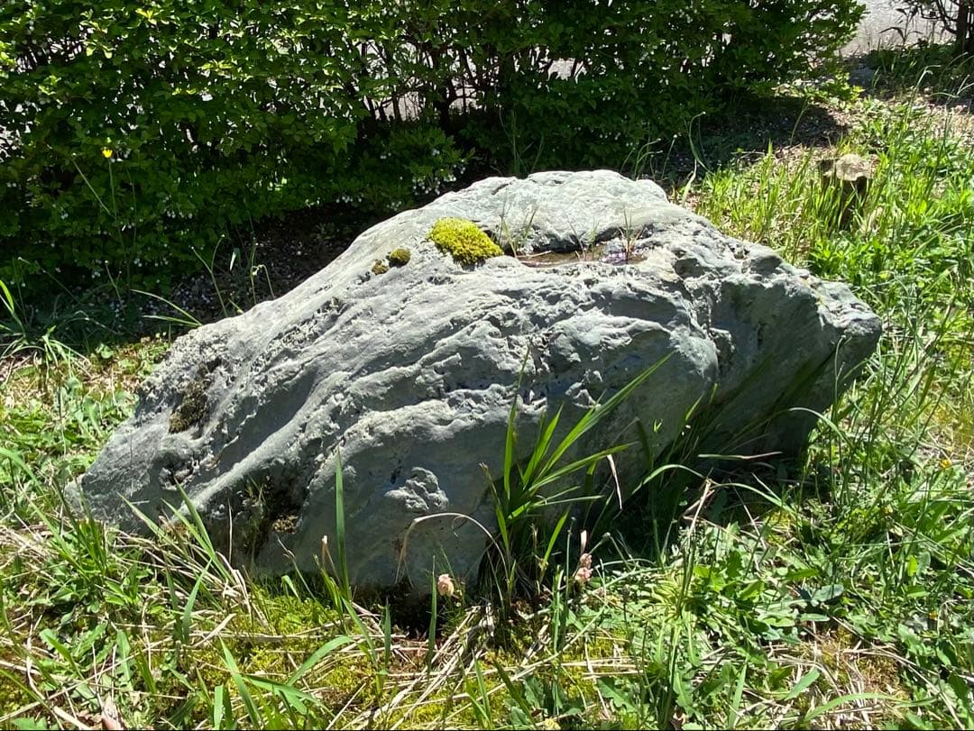 灰色 庭石 大 約140×40×50㎝ 苔付【石川県引き取り限定】まとめ割