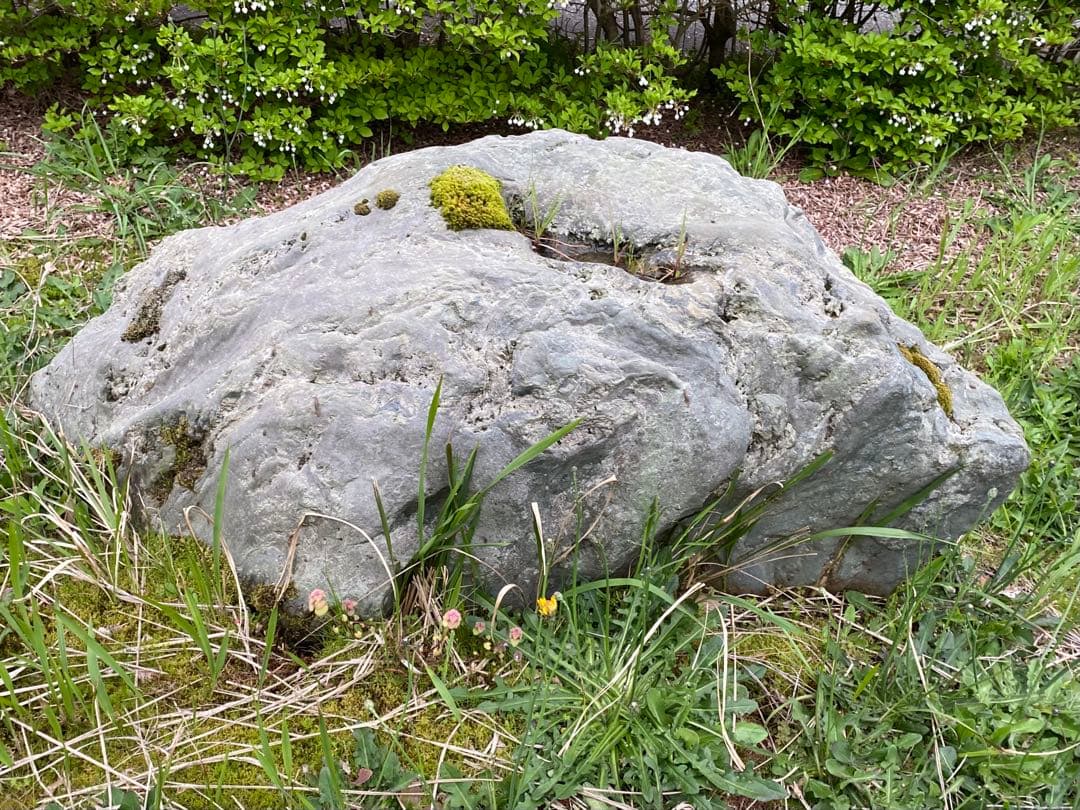 灰色 庭石 大 約140×40×50㎝ 苔付【石川県引き取り限定】まとめ割