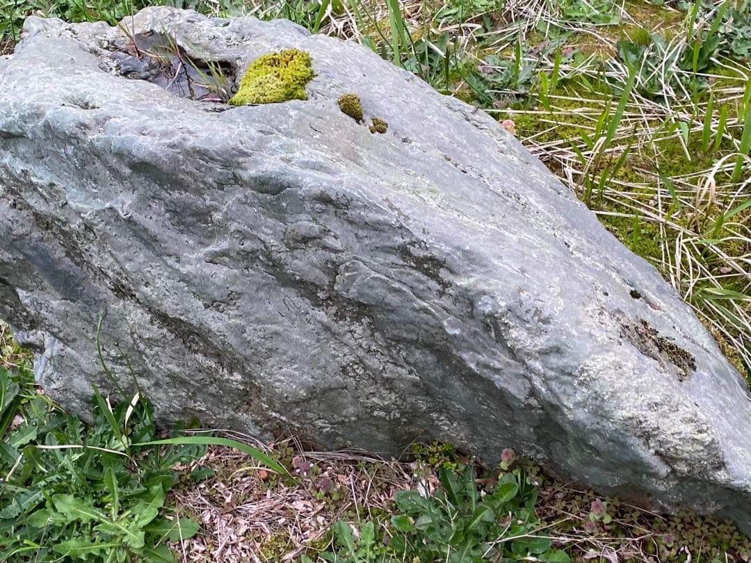 灰色 庭石 大 約140×40×50㎝ 苔付【石川県引き取り限定】まとめ割