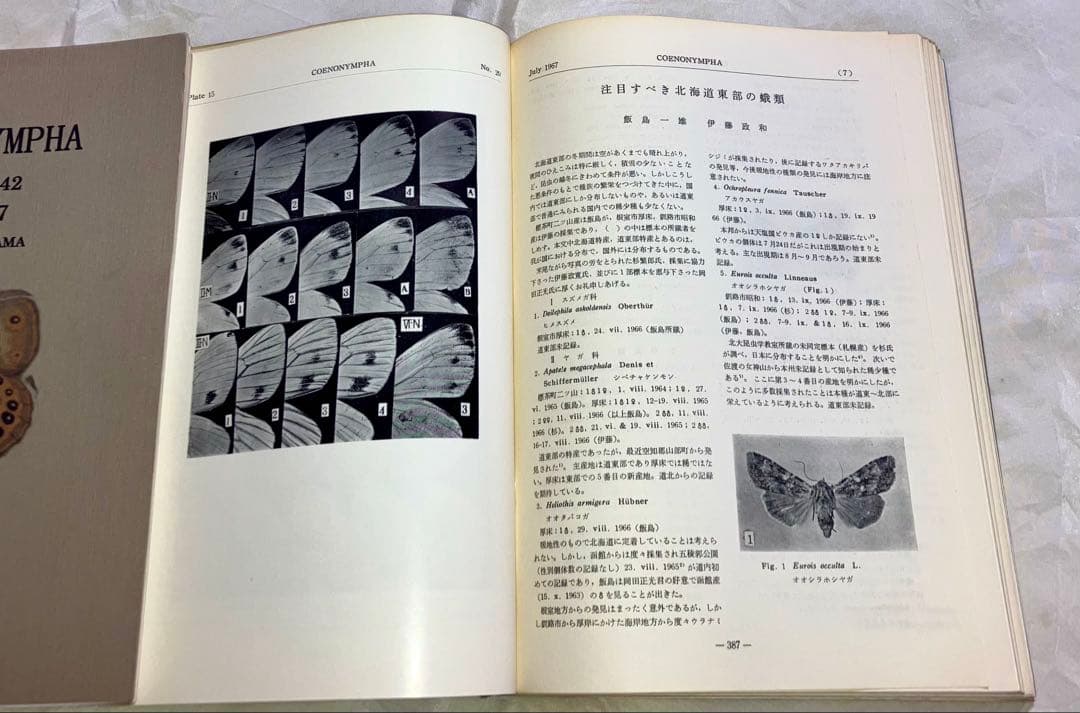 日本鱗翅目同好会 会報1967年～1974年ファイリング 研究者用 調査資料