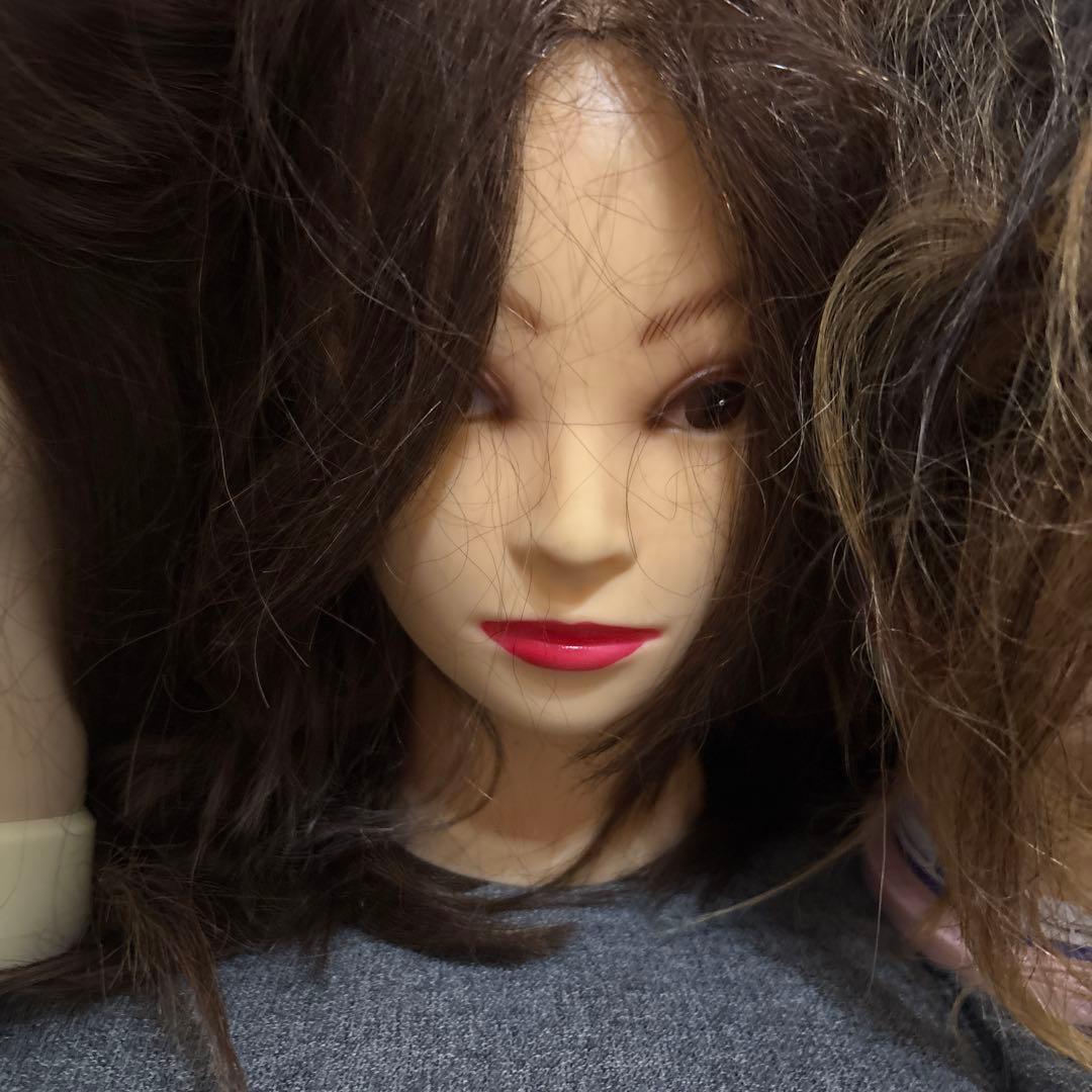 人毛100% カットウィッグ10頭　BG111、N.B.A.A