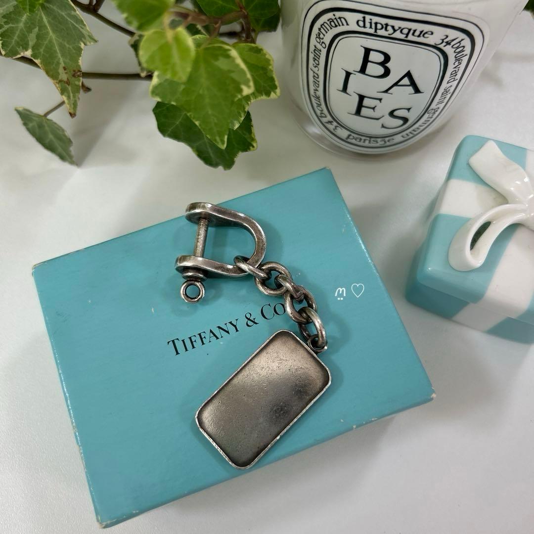 ティファニー　シルバーインゴット　シャックルキーリング　キーホルダー　希少