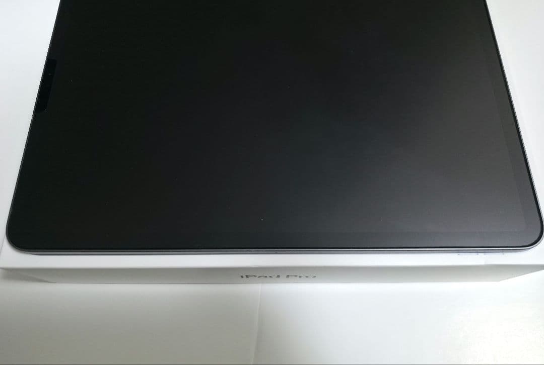 iPad Pro 11インチ 第1世代　256GB
