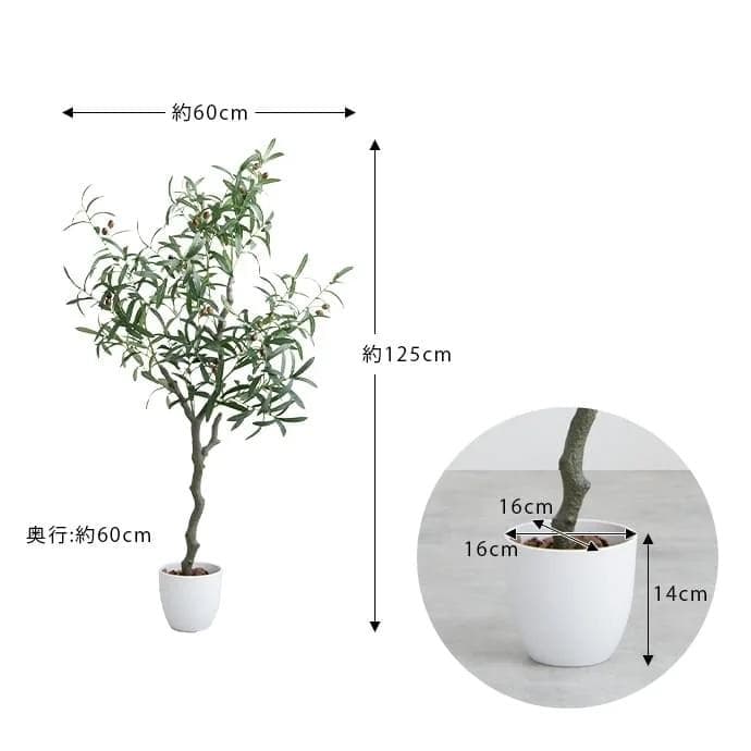 【光触媒/抗菌防臭】人工観葉植物 オリーブ 高さ125cm