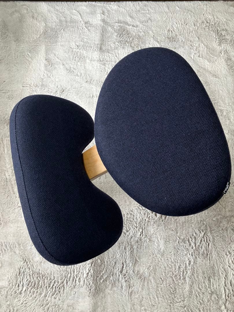 通販生活　バランスチェア（猫背対策椅子）とカバーのセット