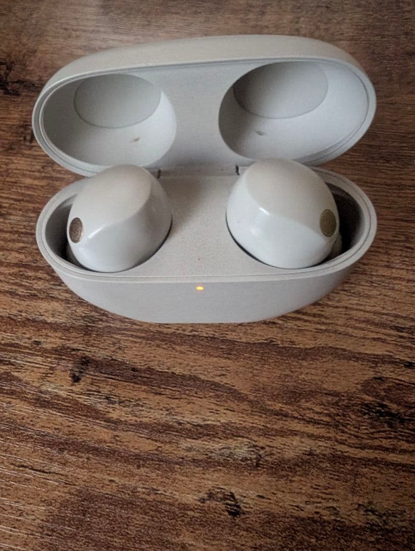 ソニー　ワイヤレスイヤホン　 WF-1000XM5　【送料込み】