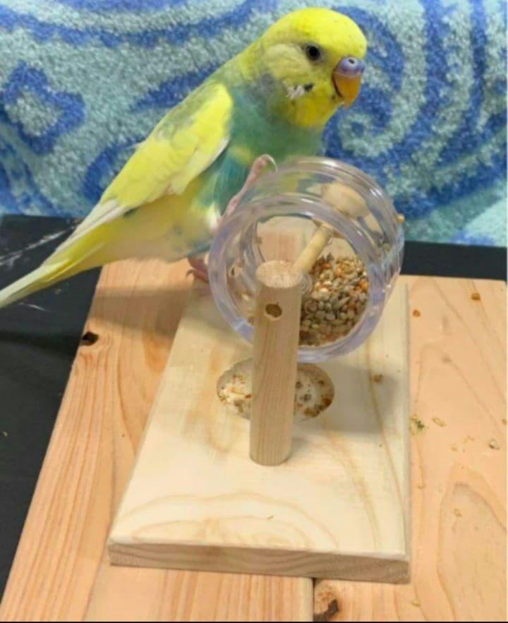 g157　止まり木　Tパーチ　スタンド　バードトイ　フォージングトイ色々セット