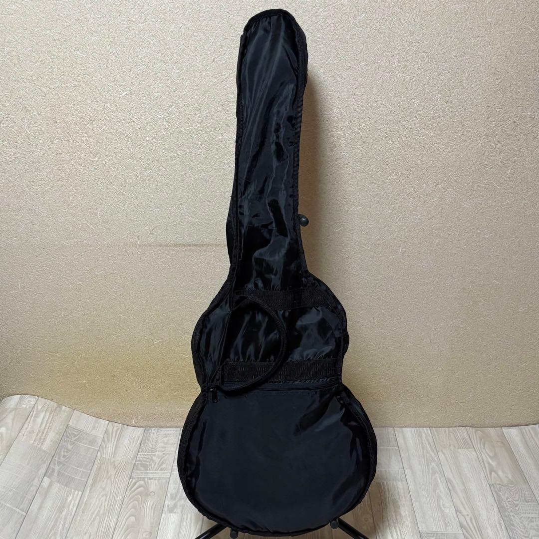 Aria TG-1N アコースティックギター 弦交換済み ソフトケース付き