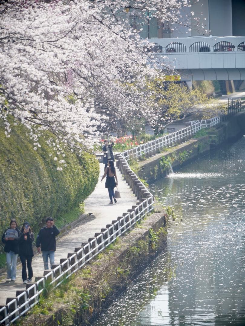 tokina sz 300mm pro reflex 超望遠単焦点　eマウント