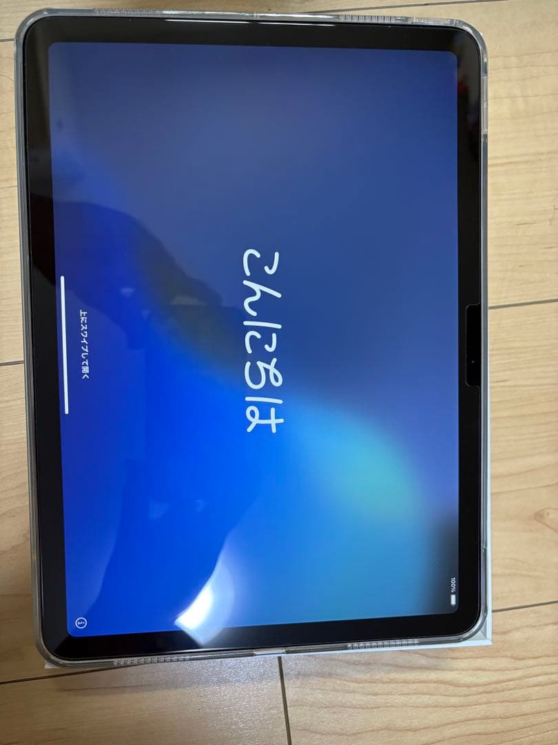 ふぐiPad Air M3 Apple Pencil Pro