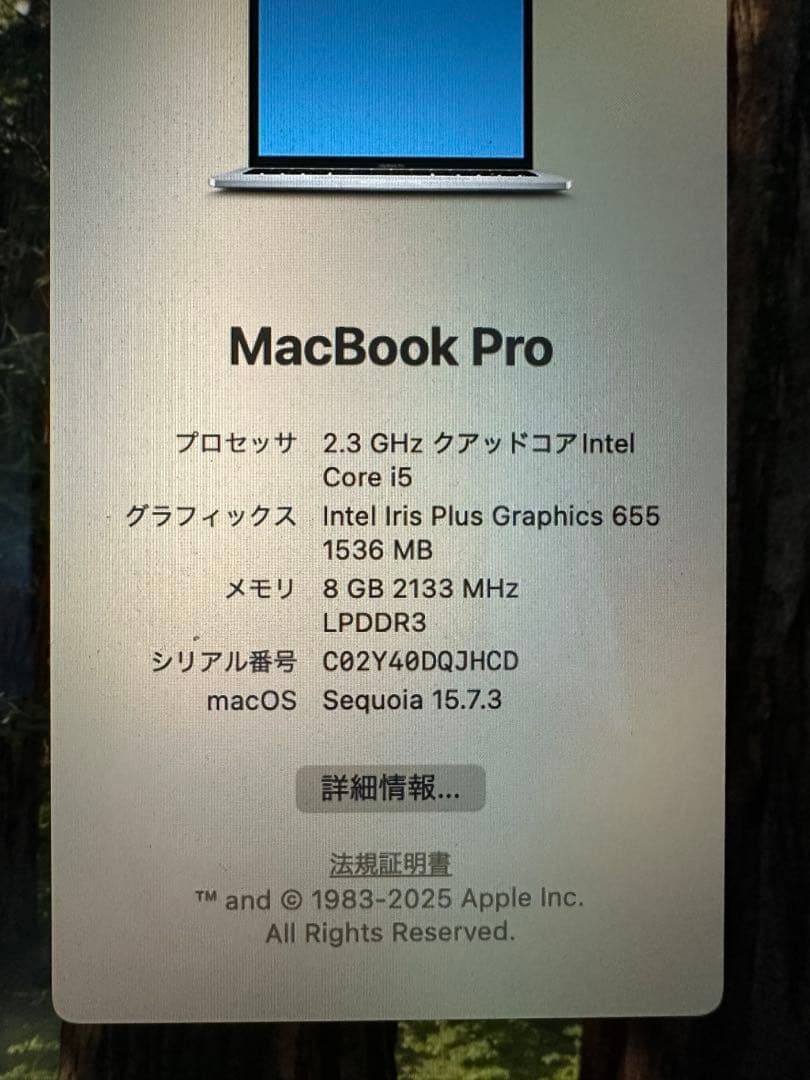 MacBookpro 2018モデル 258GB